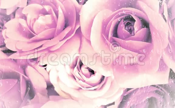 粉红色浪漫美丽的花在雨中视频的预览图