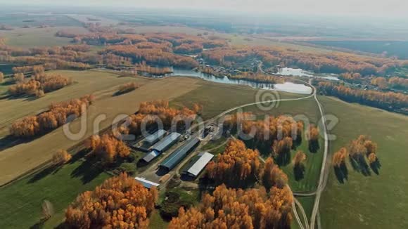 鸟瞰一个村庄的农场周围是秋天的森林收获机库视频的预览图