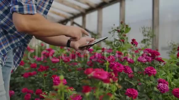 一位农民商人用手触摸玫瑰用手指点击平板电脑屏幕检查视频的预览图