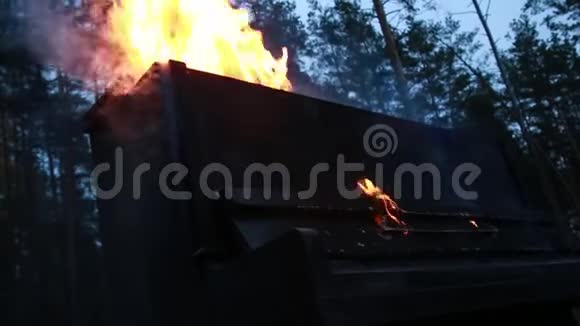 在森林中燃烧着黑色的钢琴象征着燃烧着的乐器视频的预览图