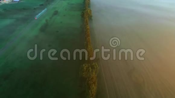 空中无人机镜头在郊区的种植园与疯狂的雾4K视频的预览图