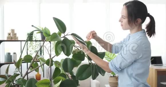 在家照顾植物的女人视频的预览图