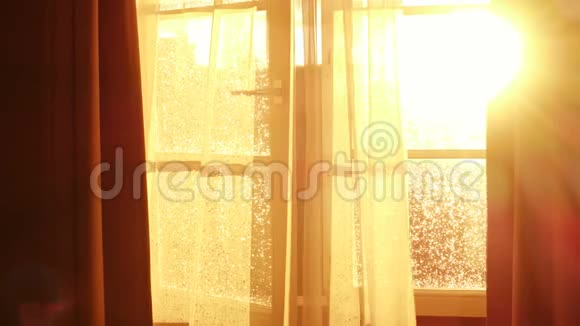 阳光透过敞开的窗户透明的窗帘视频的预览图
