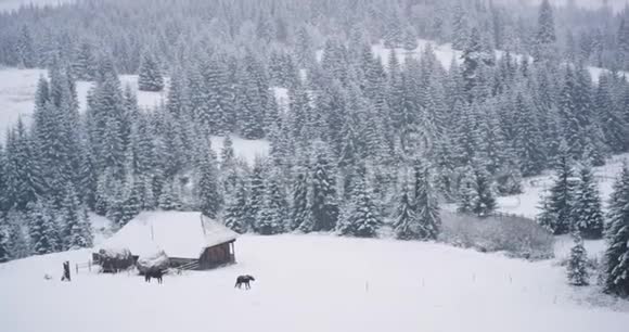 山顶上美丽的景色拍摄了一座木屋和马在白雪森林和视频的预览图