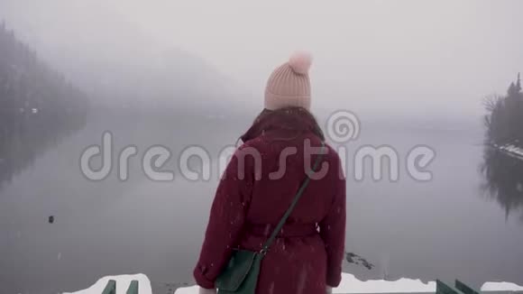 女人看着冬天在阿布哈兹的里萨湖转动和展示湖视频的预览图