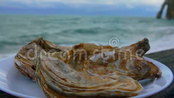 新鲜的封闭牡蛎放在靠海的盘子里视频的预览图