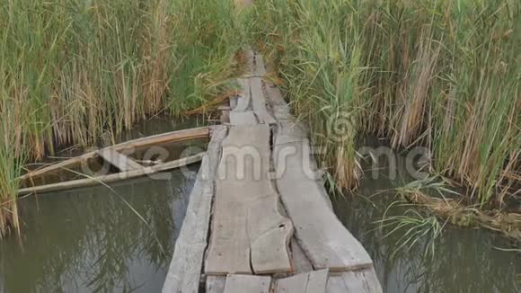 在池塘边沿芦苇散步旧的被淹木船视频的预览图