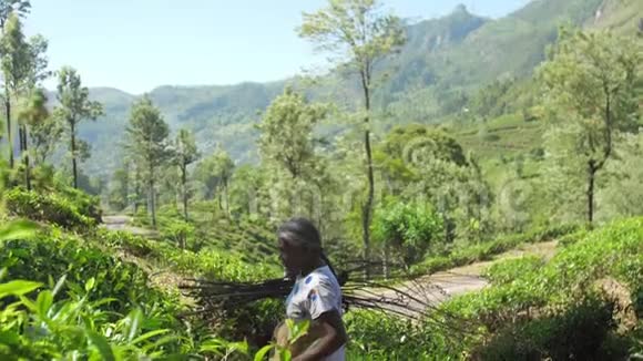 带着灌木的老妇人在森林中慢动作视频的预览图