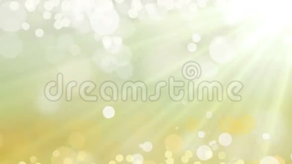 黄色洋甘菊背景环明亮柔软颗粒自然无缝爱甲壳慢闪亮丝绸离焦光滑视频的预览图