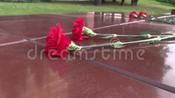 红色康乃馨花铺在无名战士纪念碑附近的石质花岗岩板上永恒的火焰象征着胜利视频的预览图