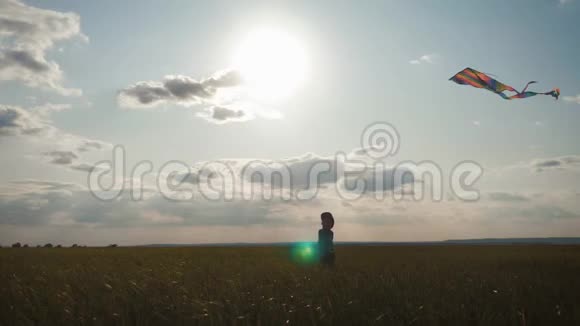 阳光明媚的一天快乐的小男孩在草地上玩风筝夏季概念视频的预览图