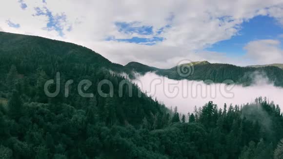 在雾蒙蒙的群山中一个人慢慢地在绿色的森林上空飞翔视频的预览图