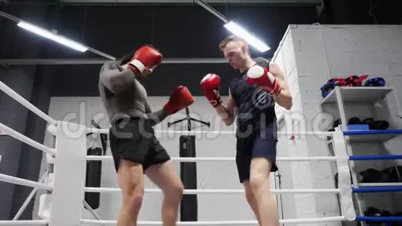 两个拳击手在拳击场上训练双腿踢低角度视角拳击手和私人教练一起训练健身房视频的预览图