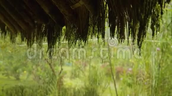 从一个土著小屋的屋顶落下的雨滴亚马逊雨林视频的预览图