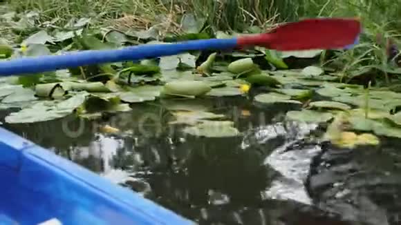 蓝色木桨过水面在城市公园的湖面上一只小马在水面上扬起在湖面上摆着一排排睡莲和莎草cl视频的预览图