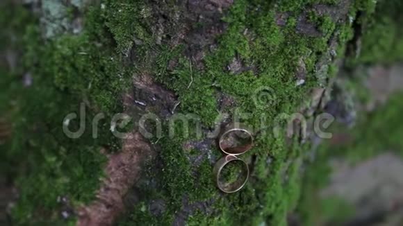 婚礼装饰两个金色的结婚戒指和非花果视频的预览图