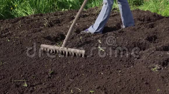 农夫用耙子铲平地面视频的预览图