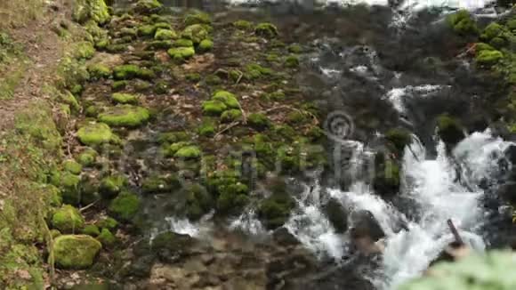 KamniskaBistrica河的源头视频的预览图