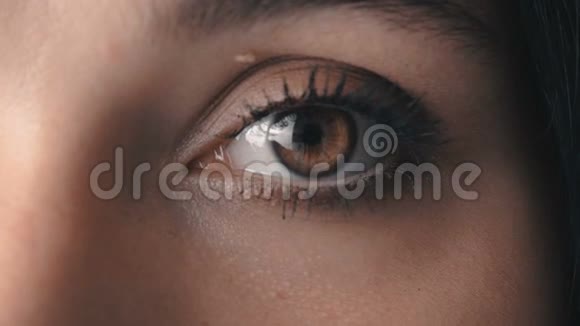 宏观特写棕色女人眼睛眨巴视频的预览图
