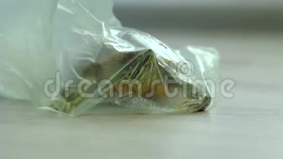 红耳龟在垃圾袋中污染自然的概念视频的预览图