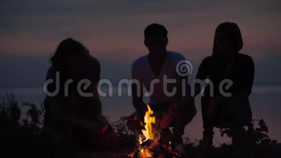 年轻的时髦朋友在海边玩篝火生火做香肠在舒适的夏天晚上聊天视频的预览图