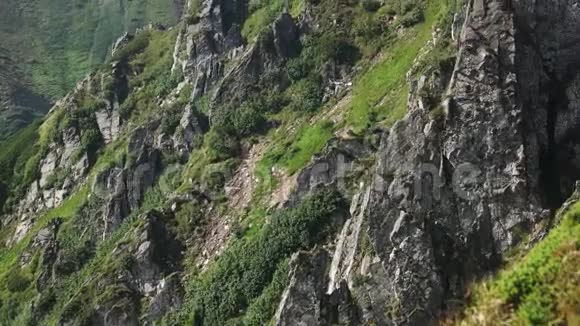 喀尔巴阡山草色山坡上的岩石视频的预览图