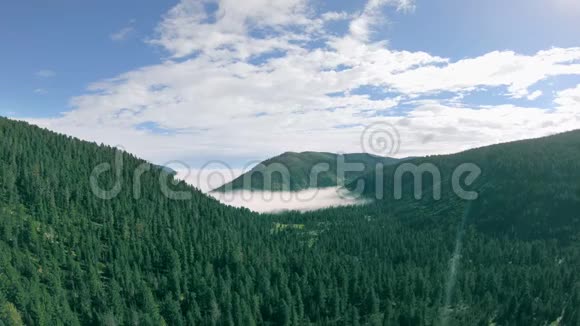 绿林覆盖的山谷的空中景色视频的预览图