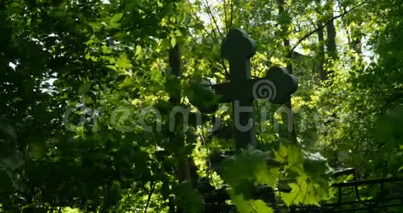 郁郁葱葱的绿色植物之间的坟墓交叉视频的预览图