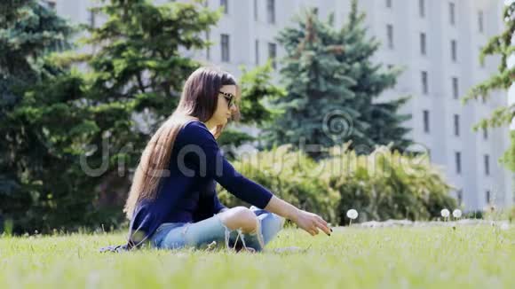 女孩吹蒲公英坐在城市公园的草地上在城市里休息视频的预览图