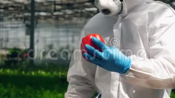 一个植物学家用注射器里的液体填充一个胡椒瓶视频的预览图