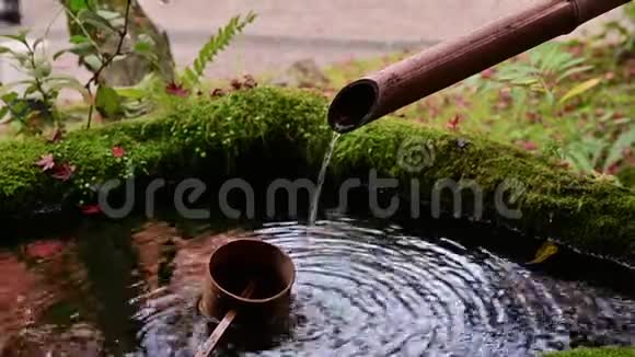 4在日本寺庙宁静的花园中竹管中的K漏水视频的预览图