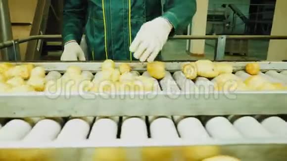 运输皮带在工人控制下运输干净的马铃薯视频的预览图