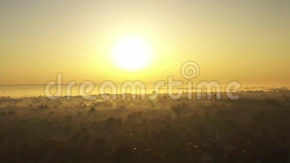 黎明的视频覆盖着晨雾太阳光线使雾变得美丽视频的预览图