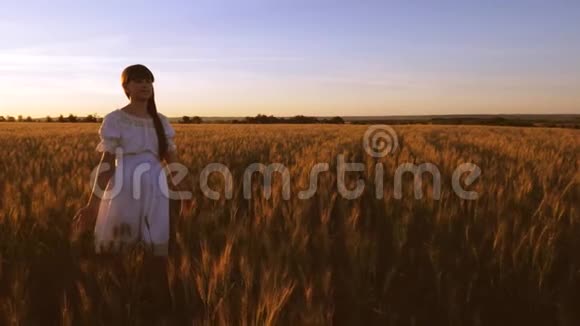 美丽的女孩带着黄色的小麦走过田野用自己的手触摸小麦的耳朵慢动作视频的预览图