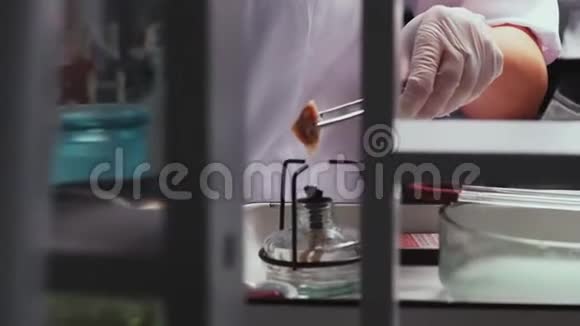 科学家在实验室的特写镜头中用煤气炉加热猪肉视频的预览图
