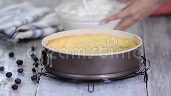 女人做美味的奶酪蛋糕用蓝莓做芝士蛋糕视频的预览图
