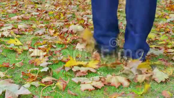 在一个阴天的秋天一个人走在公园绿草上的落叶上视频的预览图