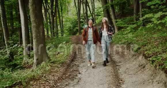 几个徒步旅行者在森林小径散步视频的预览图