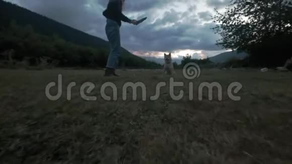 晚上日落时女孩和一只狗玩石坝英努跑一棒玩宠物主人慢动作视频的预览图