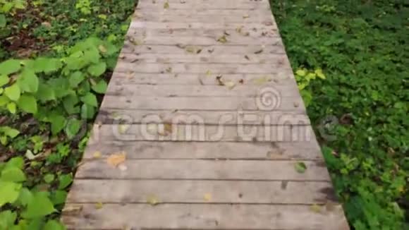 秋天在公园里沿着一条狭窄的木小径移动视频的预览图