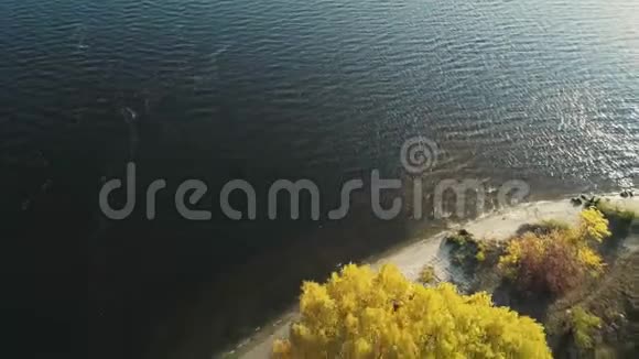 空中无人机镜头在岛上近距离拍摄的秋季森林上空飞行视频的预览图