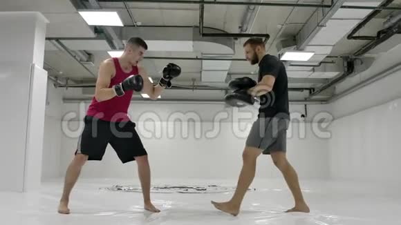 教练和拳击手在缓慢的动作中用爪子在跳跃的膝盖上踢球跆拳道训练视频的预览图