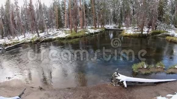 长臂猿草地上的长臂猿河上有一堆雪视频的预览图