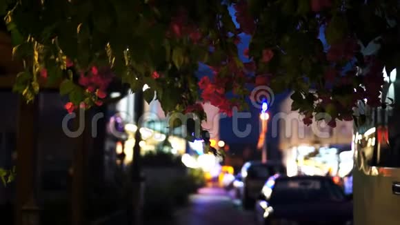 在凯默的夜街土耳其视频的预览图