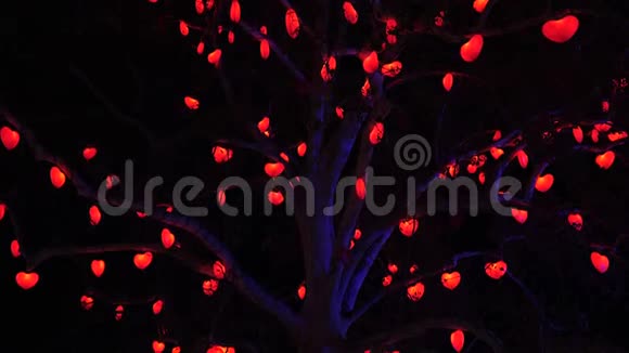美丽的树红心圣诞灯城市装饰在奥地利的夜晚视频的预览图