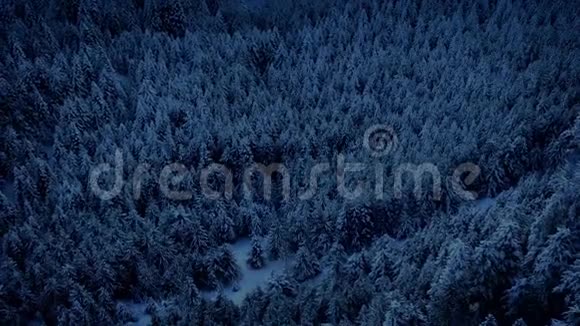 傍晚在冰冻的景色中飞翔视频的预览图