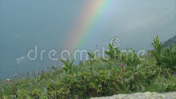 在山谷里彩虹视频的预览图
