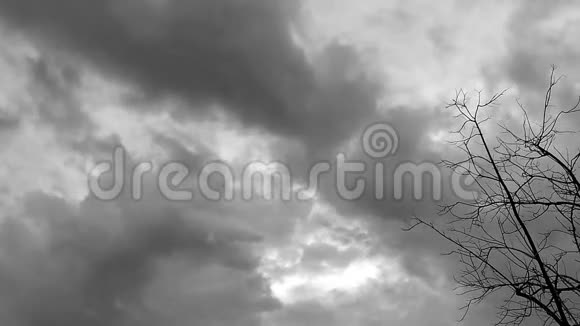 雨云天空的时间流逝树的轮廓视频的预览图