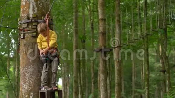 一个穿着安全装备的小男孩正准备在森林探险公园里的树梢上骑高空滑索他爬得很高视频的预览图