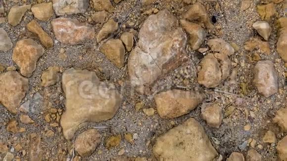 沙中不同和不规则的黄色卵石视频的预览图